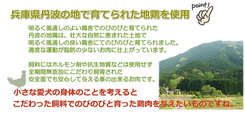 犬、生肉,鶏,ミンチ,地鶏、丹波地どり,ささみ,砂肝、関節,シニア,老犬,栄養,ダイエット,たんぱく質,手作り食,材料,ごはん,ドッグフード,偏食,トッピング,栄養,おいしい,国産,こだわり