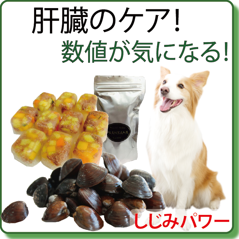 犬猫用ケーキおやつ帝塚山ワンバナ - 愛犬の肝臓が気になる方へ(健康相談(ダイエット,食欲不振,涙やけなど))|Yahoo!ショッピング 犬猫用ケーキおやつ帝塚山ワンバナ - 愛犬の肝臓が気になる方へ(健康相談(ダイエット,食欲不振,涙やけなど))|Yahoo!ショッピング