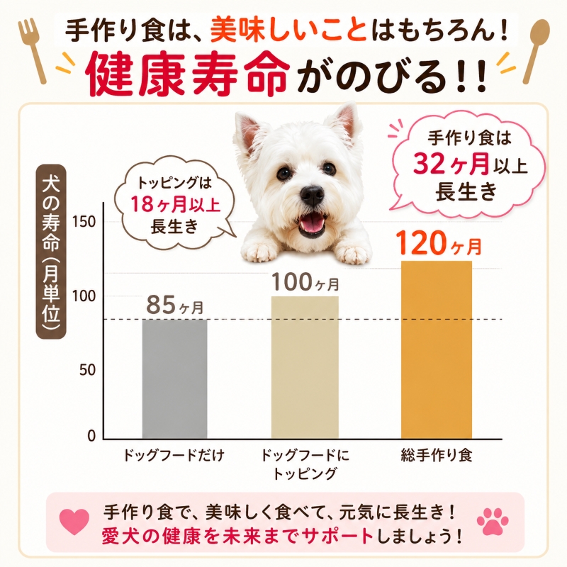 馬肉,トッピング,ドッグフード,手作り食,ペトコト,このこのごはん,カナガン,モグワン,ニュートロ,人気,話題,美味しい,無添加,グレインフリー,アレルギー,低カロリー,便利,かけるだけ,手間いらず,ワンバナ,ヒューマングレード,エサ,缶詰,療養食,腎不全,ダイエット,肥満,痩せる