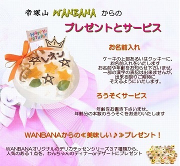 犬用，ケーキ，誕生日，無添加，ごはん，おやつ，ギフト，プレゼント，通販，男の子，かわいい，ラッピング，人気，イベント，オフ会，WANBANA，ワンバナ