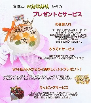 犬用，ケーキ，誕生日，無添加，ごはん，おやつ，ギフト，プレゼント，通販，男の子，かわいい，ラッピング，人気，イベント，オフ会，WANBANA，ワンバナ