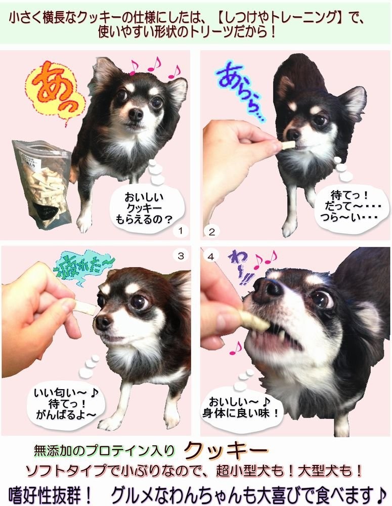 犬,ドッグ,おやつ,無添加,クッキー,ビスケット,トリーツ,ごほうび,豆乳,プロテイン,小型,中型,大型,パピー,シニア,老犬,通販,送料無料,WANBANA,ワンバナ