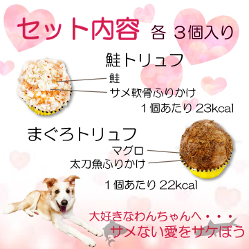 犬,わんちゃん,バレンタイン,マカロン,2023,2月,配る,スイーツ,チョコ,美味しい,人気,映え,ペット,ギフト,贈り物,プレゼント,ワンバナ