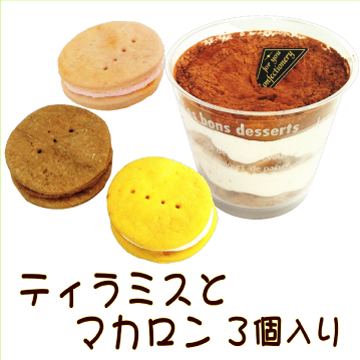 犬,わんちゃん,バレンタイン,マカロン,2023,2月,配る,スイーツ,チョコ,美味しい,人気,映え,ペット,ギフト,贈り物,プレゼント,ワンバナ
