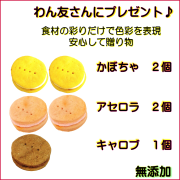 犬,わんちゃん,バレンタイン,マカロン,2023,2月,配る,スイーツ,チョコ,美味しい,人気,映え,ペット,ギフト,贈り物,プレゼント,ワンバナ