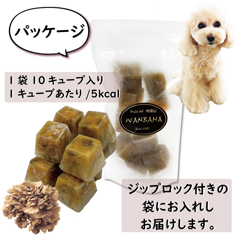 犬,キノコ,きのこ,舞茸,βーグルカン,食物繊維,ビタミンD,アンチエイジング,わんちゃん,ドッグ,フード,ごはん,スープ,ドリンク,水分補給,まぐろ,ツナ,野菜,体温調整,無添加,美味しい,アレルギー,低カロリー,低脂肪,ダイエット,肥満,涙やけ,肝臓,ケア,腎臓,涙やけ,健康,長生き,シニア,パピー,ワンバナ