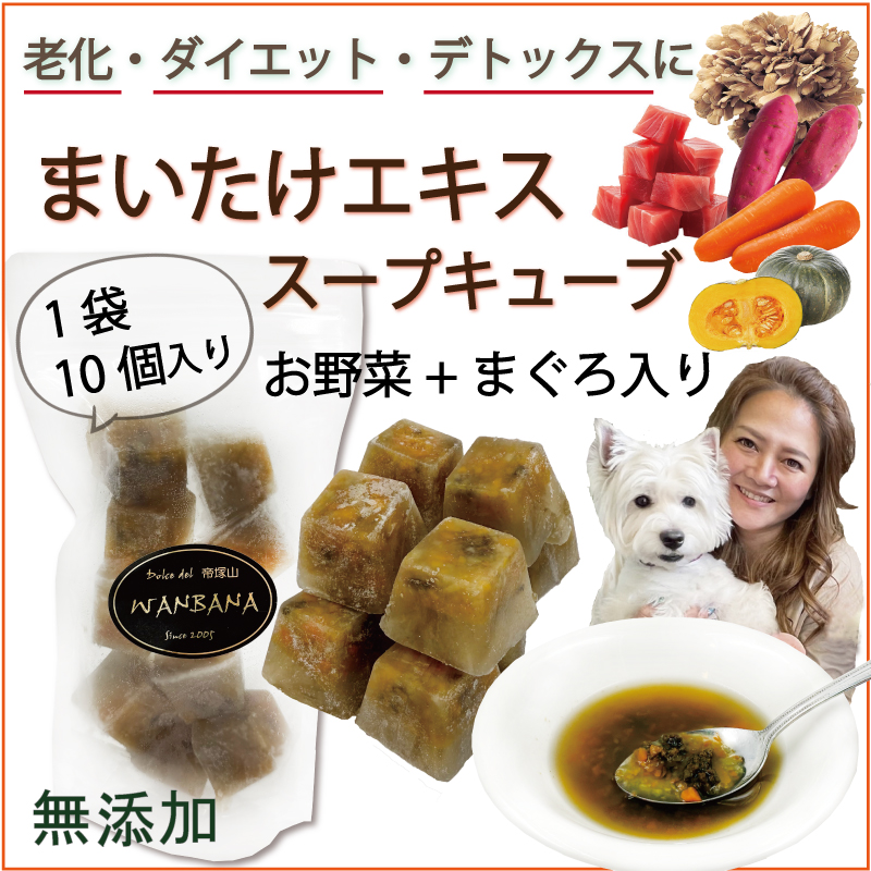 犬,キノコ,きのこ,舞茸,βーグルカン,食物繊維,ビタミンD,アンチエイジング,わんちゃん,ドッグ,フード,ごはん,スープ,ドリンク,水分補給,まぐろ,ツナ,野菜,体温調整,無添加,美味しい,アレルギー,低カロリー,低脂肪,ダイエット,肥満,涙やけ,肝臓,ケア,腎臓,涙やけ,健康,長生き,シニア,パピー,ワンバナ