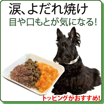 犬猫用ケーキおやつ帝塚山ワンバナ 愛犬のよだれやけ涙やけに 健康相談 ダイエット 食欲不振 涙やけなど Yahoo ショッピング 犬猫用ケーキおやつ帝塚山ワンバナ 愛犬のよだれやけ涙やけに 健康相談 ダイエット 食欲不振 涙やけなど Yahoo ショッピング