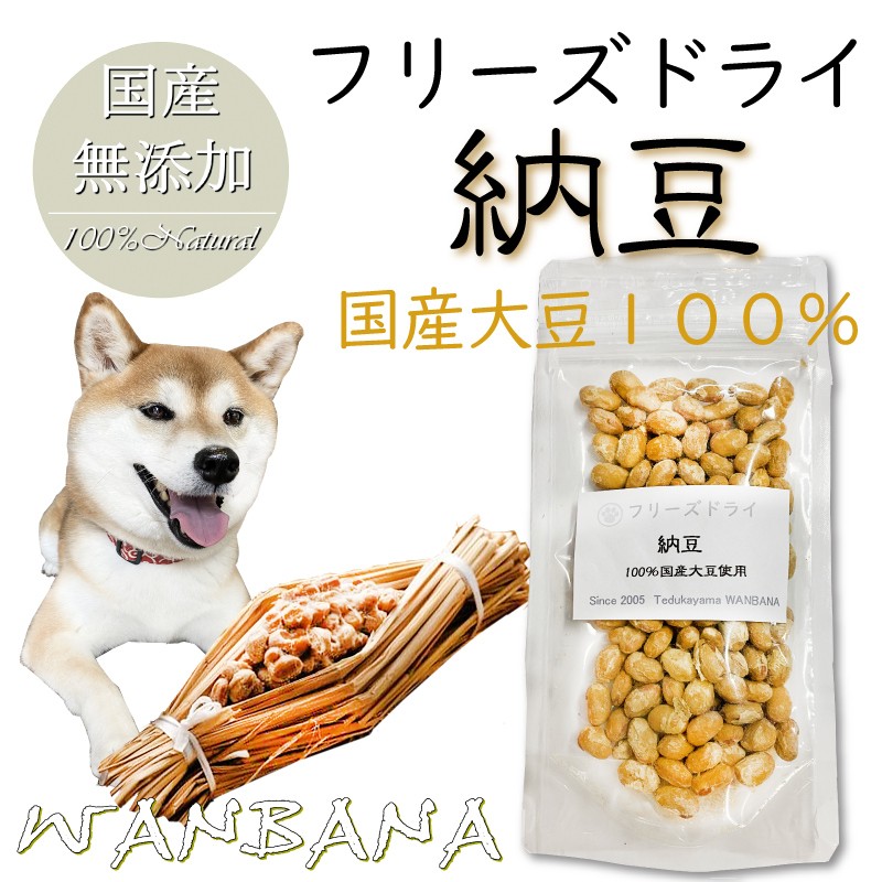 犬 無添加 おやつ 納豆40g 国産大豆100％使用 腸内環境 軟便に 腸活