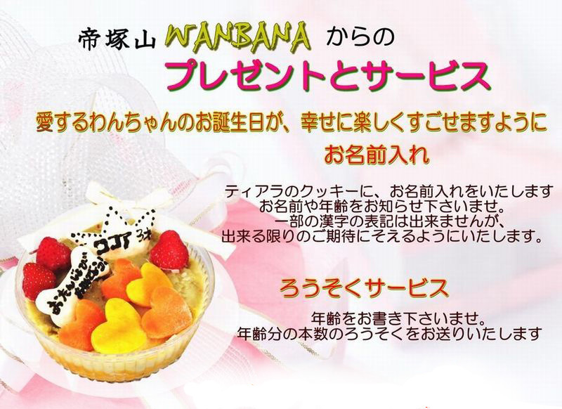 犬,ケーキ,やさしい,無添加,野菜,ささみ,馬肉,ワンバナ,,ＷＡＮＢＡＮＡ