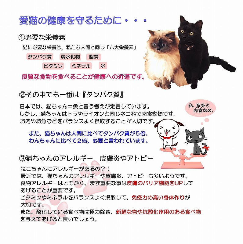 猫用 キャットフード トッピング 手作り 無添加 人参馬肉団子 アレルギー ビタミン 6480円以上送料無料 あすつく 帝塚山wanbana N Nunjindango 犬猫用ケーキおやつ帝塚山ワンバナ 通販 Yahoo ショッピング