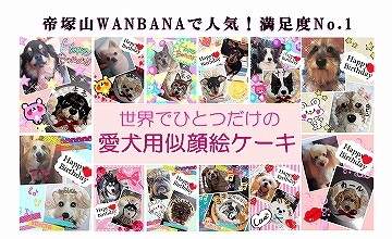 犬猫用ケーキおやつ帝塚山ワンバナ 犬用似顔絵ドッグ立体ケーキ世界でひとつ 犬用ケーキ ドッグcake ペット用ケーキ Yahoo ショッピング