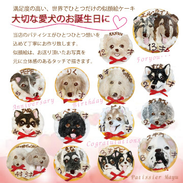 犬用 似顔絵 ケーキ 立体に 1頭描きで野菜と馬肉生地4号12cmサイズ お