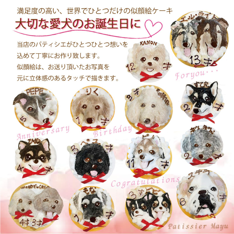 帝塚山WANBANA 犬用 似顔絵 ケーキ 立体に 1頭描きで野菜と馬肉生地4号