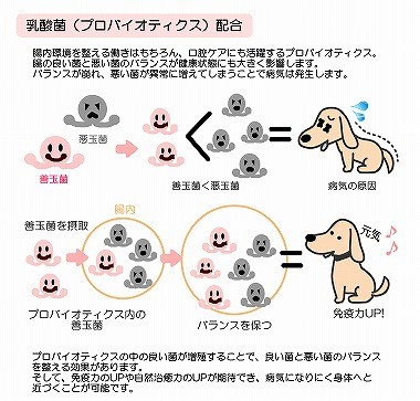 犬 まるごと 国産 イワシ ペースト グルコサミン コンドロイチン 乳酸菌 入り 500g ドッグフード 手作り食 材料 サプリメント お得用 Wanbana ワンバナ Iwashi Guruko 500g 犬猫用ケーキおやつ帝塚山ワンバナ 通販 Yahoo ショッピング