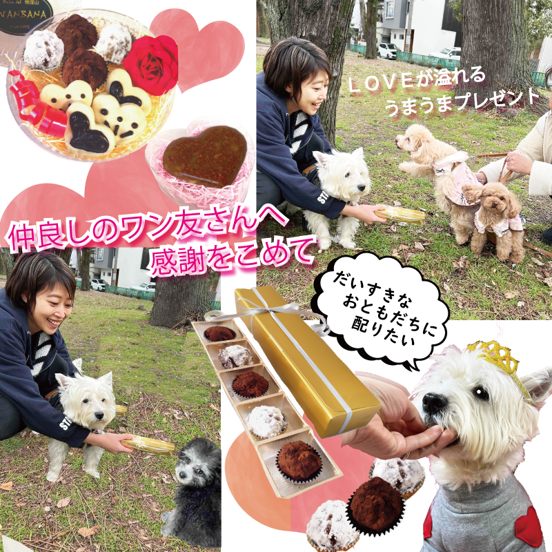 犬,わんちゃん,バレンタイン,2024,2月,配る,スイーツ,チョコ,美味しい,人気,映え,ペット,ギフト,贈り物,プレゼント,ワンバナ
