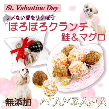 犬,わんちゃん,バレンタイン,マカロン,2024,2月,配る,スイーツ,チョコ,美味しい,人気,映え,ペット,ギフト,贈り物,プレゼント,ワンバナ