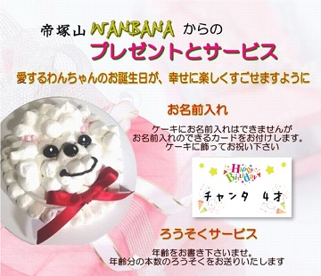 犬,ケーキ,やさしい,無添加,野菜,ささみ,馬肉,ワンバナ,,ＷＡＮＢＡＮＡ