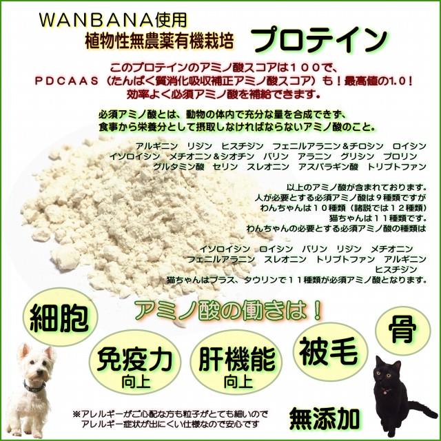 犬用，スイーツ，ドーナツ，ギフト，プレゼント，人気，かわいい，ミニサイズ，セット，プロテイン，植物性，栄養，たんぱく質,YAHOO