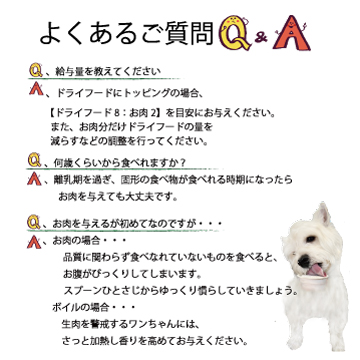 犬,馬,肉,生,おやつ,ワンバナ,トッピング，手作り食,人気