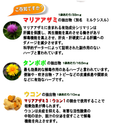 犬用,馬肉,アレルギー,トッピング,肝機能,再生,ジュレ,人気,栄養,シニア,結石,WANBANA