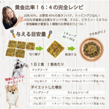 setumei-ougonhiritu360.jpg