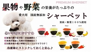 犬 無添加 おやつ バナナ シャーベット 馬肉 クッキー 入り 人気 スイーツ 夏 熱中症 栄養 水分 補給 6480円以上 送料無料 帝塚山 Wanbana ワンバナ 犬猫用ケーキおやつ帝塚山ワンバナ 通販 Yahoo ショッピング