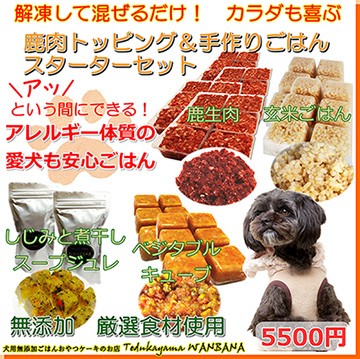 肝臓が高数値と診断されたらどうする 肝臓に負担をかけているものとは Wanbanba健康通信 大阪市住之江区ペットセレクトショップ 帝塚山wanbanaわんちゃん日記 肝臓が高数値と診断されたらどうする 肝臓に負担をかけているものとは Wanbanba健康通信 大阪市住之江区ペットセレクトショップ 帝塚山wanbanaわんちゃん日記