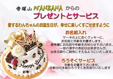 犬,ケーキ，ホール,丸型，ポップ，名前入れ，マカロン，シンプル,かわいい,消化，無添加,馬肉,ワンバナ，ヘルシー,ＷＡＮＢＡＮＡ