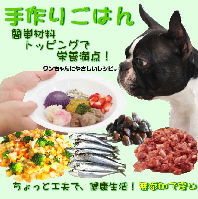 犬用のイワシ ペースト 250ｇ まるごと煮 国産 ドッグフード ごはん 材料 お試し サイズ 小分けトレー アレルギー 帝塚山wanbana ワンバナ Iwasi250g 犬猫用ケーキおやつ帝塚山ワンバナ 通販 Yahoo ショッピング