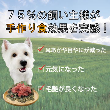 犬,馬,肉,生,おやつ,ワンバナ,トッピング,手作り食,人気