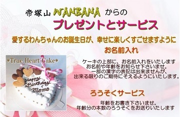 犬,ケーキ，ホール，プードル，丸型，かわいい,消化，無添加,野菜,馬肉,鶏肉,ささみ,ワンバナ，ヘルシー,ＷＡＮＢＡＮＡ
