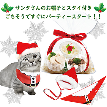 帝塚山WANBANA あすつく！猫用クリスマスギフト2 キャットセット