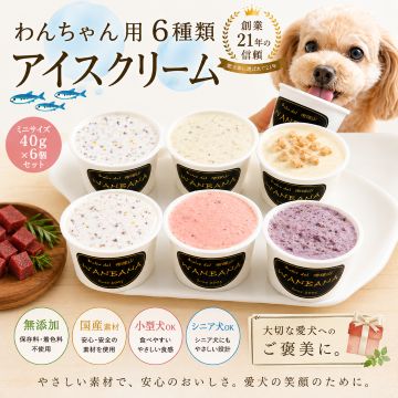 帝塚山WANBANA あすつく 犬 アイスクリーム 6種類セット 無添加 国産