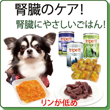 犬猫用ケーキおやつ帝塚山ワンバナ - 腎臓をケアしたいわんちゃんへ｜Yahoo!ショッピング