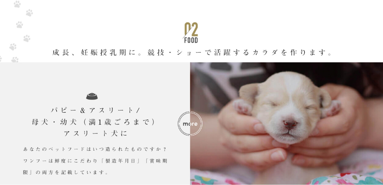 大幅値下げ　Wanfoo RABGADO(S)シニア用 200g　15袋 wanfoo ドッグフード ラブガド(ウサギ肉タイプ) シニア 高齢犬用