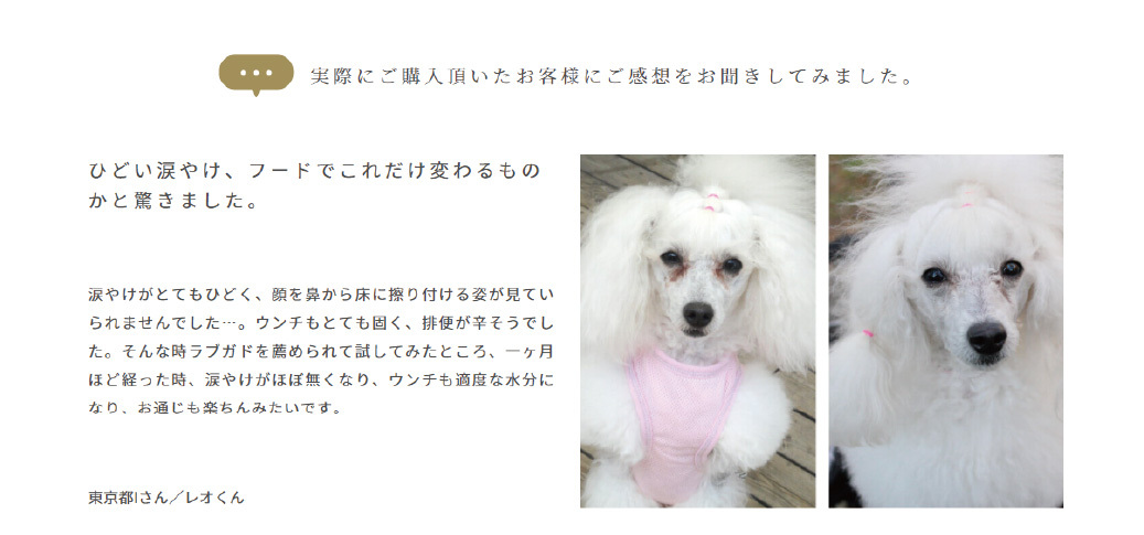 ワンフーPREMIUM DOG PUPPY & ATHLETE 200g 17袋 Zesty Paws Dog Supplement - 11 In 1 Multivitamin Bites for