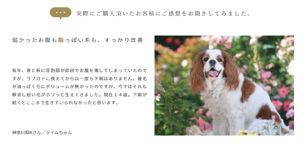 ワンフーPREMIUM DOG PUPPY & ATHLETE 200g 17袋 Zesty Paws Dog Supplement - 11 In 1 Multivitamin Bites for
