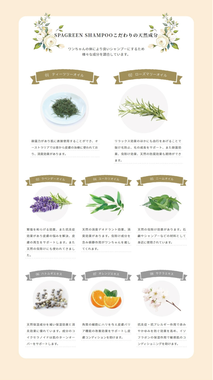 wanfoo（ワンフー） wanfoo SPAGREEN SHAMPOO スパグリーンシャンプー