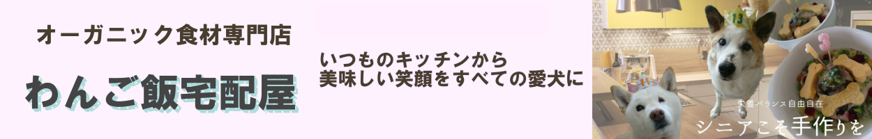 無料サンプルOK SODHelp30g エスオーディーヘルプ 乾燥野菜 ファイトケミカル ふりかけ サプリメント 天然 オーガニック 犬 猫 いわし  ターメリック highart.com.eg