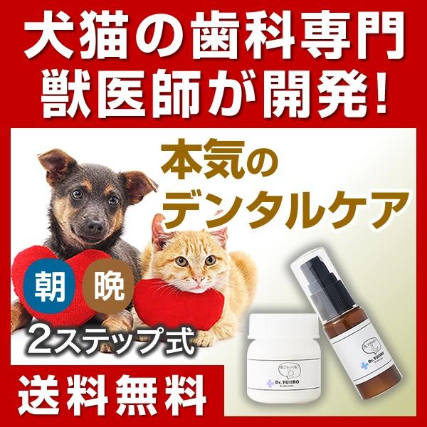 犬猫の歯石口臭対策 歯磨き粉 5000頭以上の犬の歯磨き 歯石除去 歯石取りを行ってきた獣医師が開発  Dr.YUJIRO パーフェクトセット 約3カ月分｜wanko-no-haisha