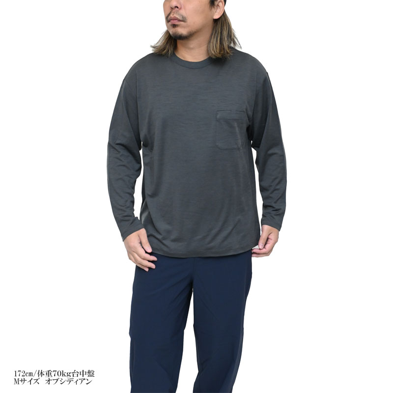 icebreaker（アイスブレーカー） icebreaker Tシャツ 長袖 メンズ
