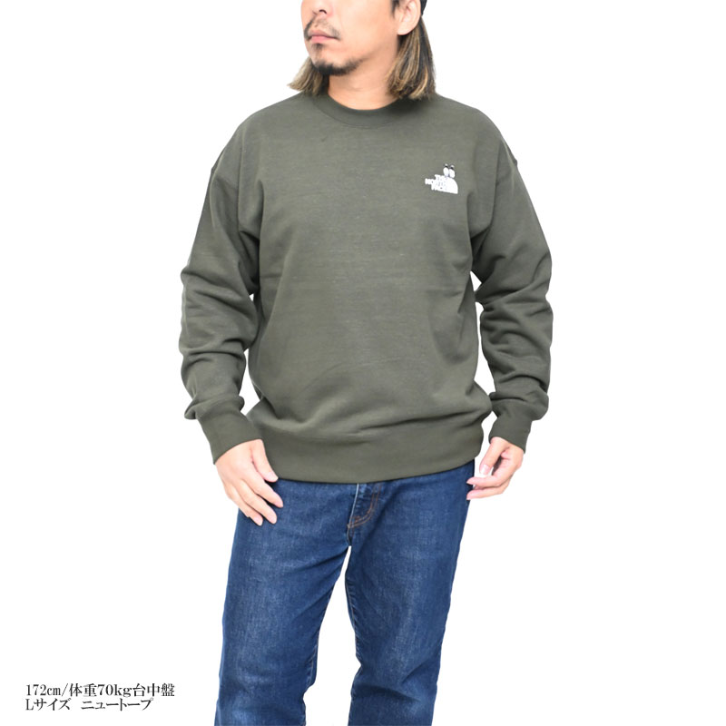 THE NORTH FACE（ザ ノースフェイス） スウェット トレーナー メンズ