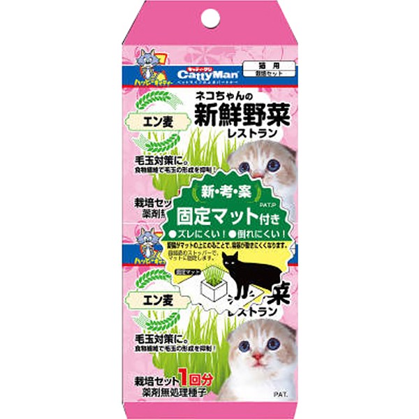 セット販売】ネコちゃんの牛乳 幼猫用 200ml×3コ :51010350:ペットの専門店コジマ - 通販 - Yahoo!ショッピング