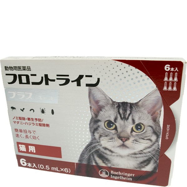 猫用医薬品