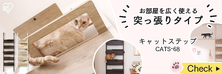 ボンビアルコン キャットタワー 木製 突っ張り 猫 タワー 猫