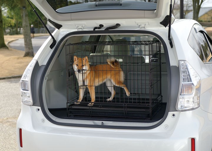 犬猫用ケージ　ゲージ　犬猫用サークル　ペット用品　リッチェル リッチェル プロフェッショナルペットケージ L ( ペット用 猫用
