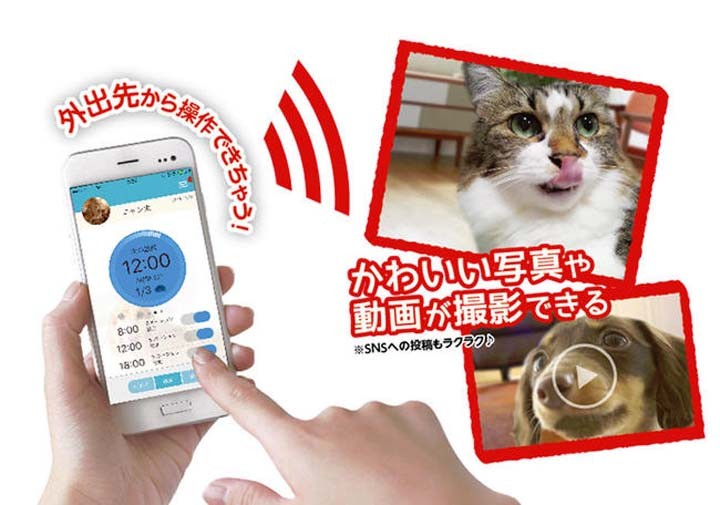 マルカン ペットカメラ 自動給餌機 給餌機 給餌器 犬猫 お留守番