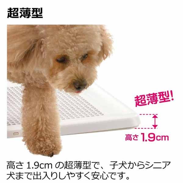 トイレトレー薄型パピーシニア犬お掃除簡単メッシュペット用品ズレにくいRichellお掃除簡単フラットトレーレギュラーリッチェル 