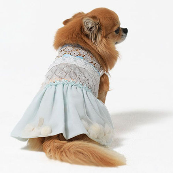 犬 服 夏 おしゃれ かわいい いぬ 犬の服 夏用 犬用 犬用服 スイート